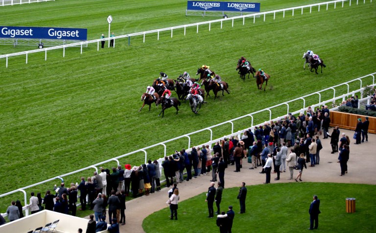 thoroughbred live streaming